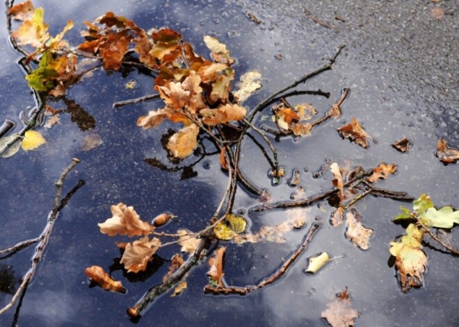 Pirmdiena nāks ar brāzmainu vēju un rudens lietu