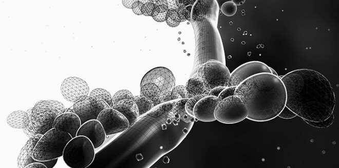 Дрожжеподобный грибок Candida может наделать много вреда для пищеварения