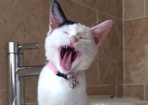 Даже небольшой недостаток сна будет иметь заметный негативный эффект