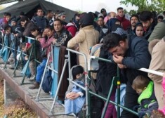 Latvijas atlases kritēriji ir šādi: ģimenes ar bērniem, vienam ģimenes loceklim jāpārzina saprotama Eiropas valoda, piemēram, angļu, vācu, franču vai krievu. Tāpat patvēruma meklētājiem vēlama atbilstoša izglītība un personu apliecinoši dokumenti.