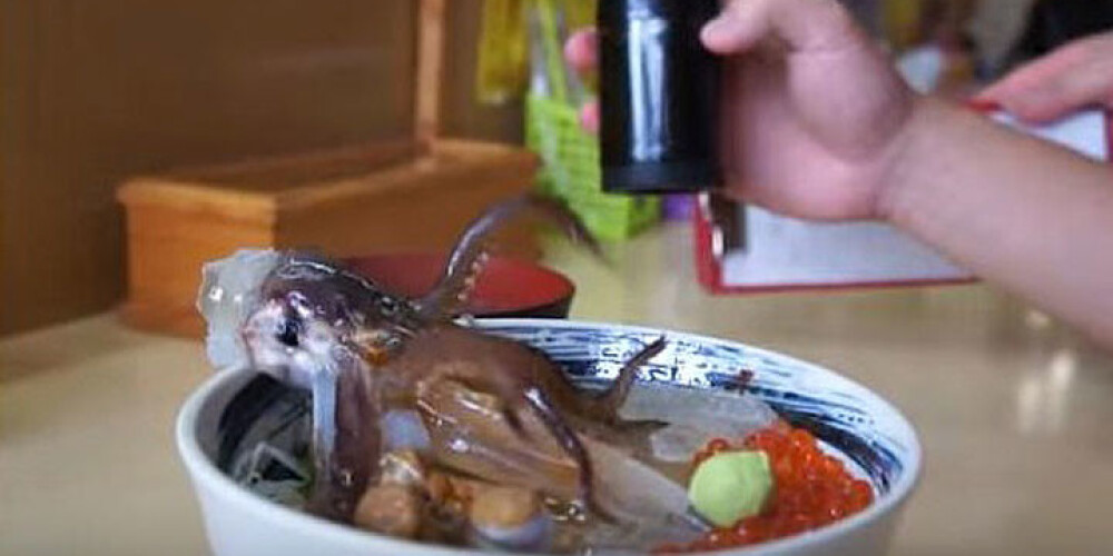 Японцы едят осьминогов-зомби! ВИДЕО