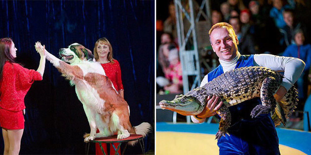 Цирк «Zoo Империя» впервые в Латвии!