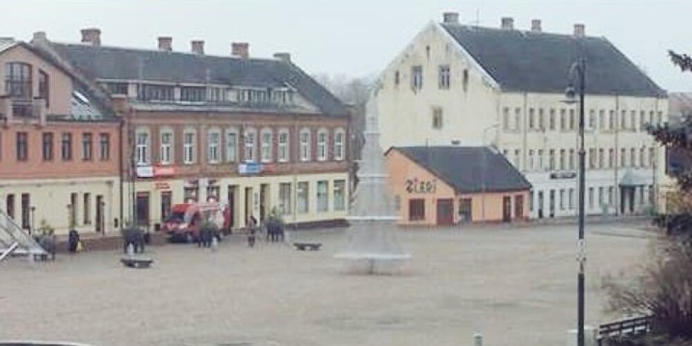 Dobelnieki šausmās par pilsētas centrālo egli - tā esot baisākā visā Baltijā. FOTO