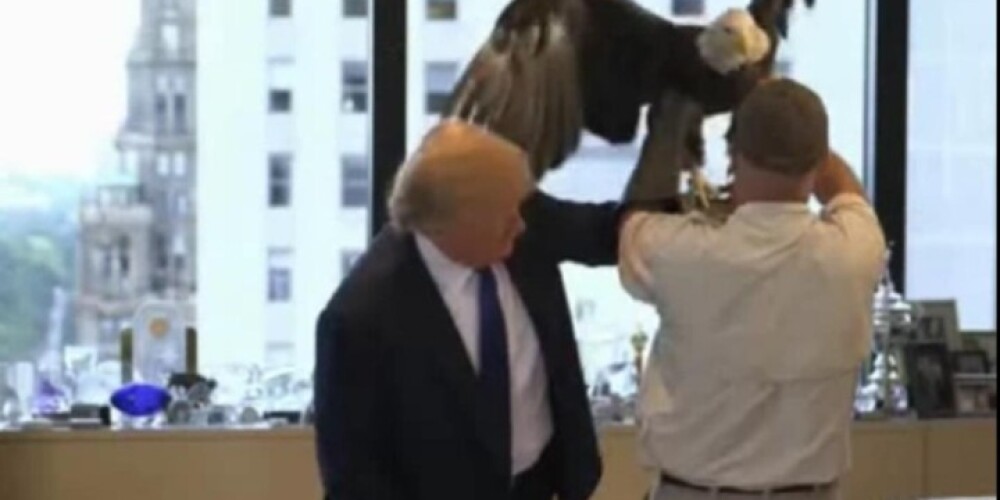 На Дональда Трампа напал орел по кличке Дядя Сэм. ВИДЕО