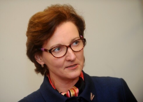 Seile uzskata, ka visi iesāktie darbi virzās pareizā gultnē, tomēr to tālākā īstenošana atkarīga no tā, vai "koalīcijai pietiks vēlmes un drosmes virzīties uz priekšu".