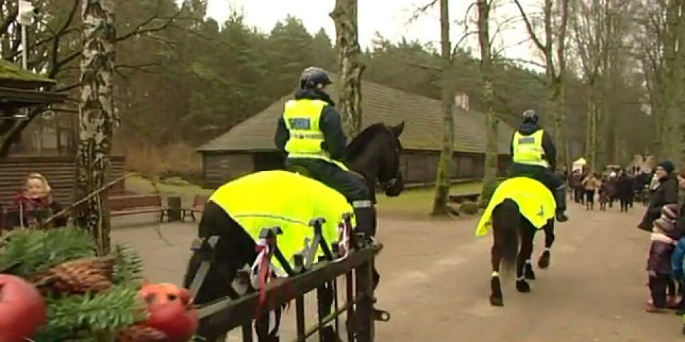 Policijas zirgi izmaksā 24 tūkstošus eiro gadā. VIDEO