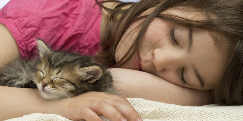 Чтобы понять причины усталости, проанализируйте все стороны своей жизни