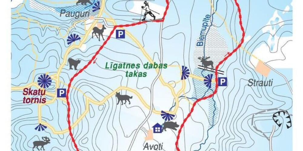 Gaujas Nacionālā parka Līgatnes dabas takās atvērta distanču slēpošanas trase