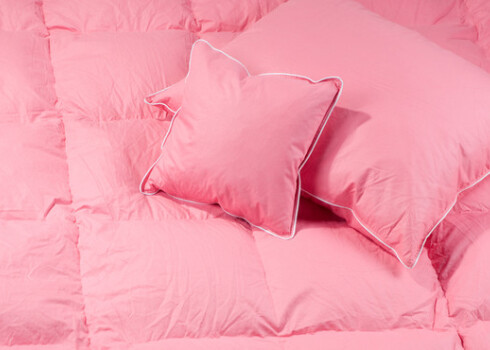 Jārēķinās, ka labas dūnu segas pilnīgai izžūšanai dažkārt nepieciešamas divpadsmit stundas.