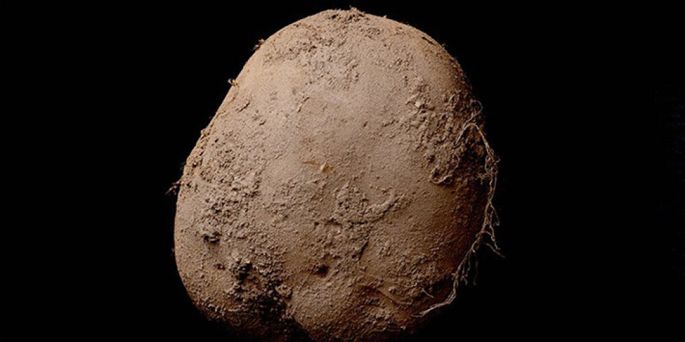 Фотограф продал снимок картофелины за миллион долларов