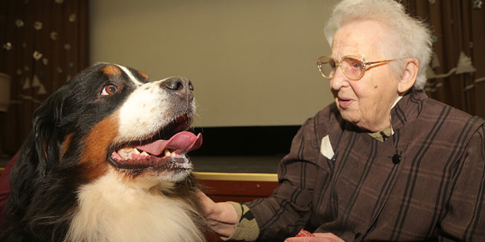 Seniorus uzmundrina ar maigo suņu terapiju. FOTO