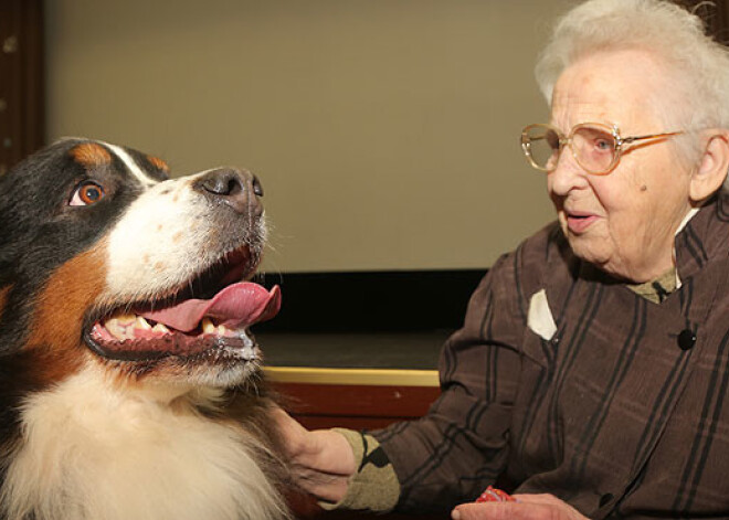 Seniorus uzmundrina ar maigo suņu terapiju. FOTO