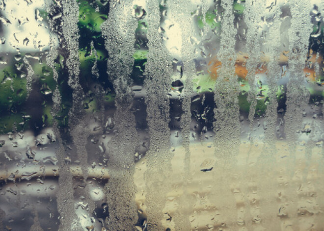 Telpās ļoti mitrs gaiss: padomi, kā ar to efektīvi cīnīties