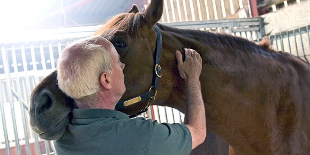 Pētījumā atklāj, ka zirgi spēj atpazīt cilvēku emocijas