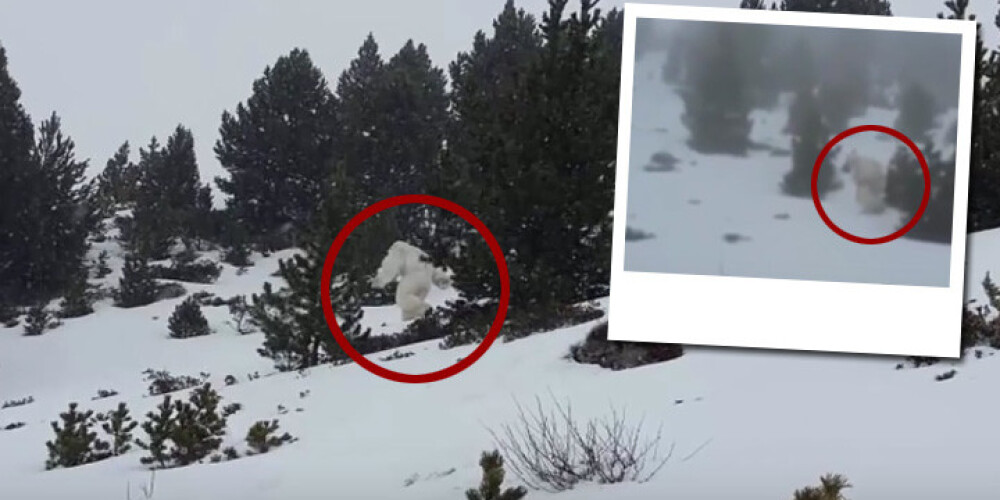 Vai tiešām Pirenejos nofilmēts īsts sniega cilvēks? VIDEO