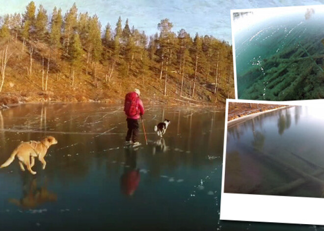 Fantastiska ziemas burvība. Slidošana uz kristāldzidra ezera ledus. VIDEO