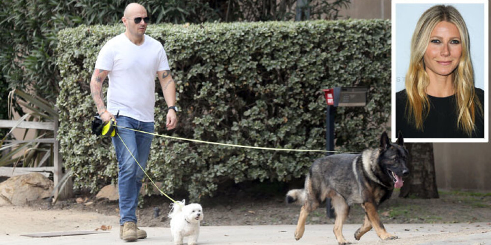 Gvinetas Paltrovas suņus pastaigā ved apsargs. FOTO