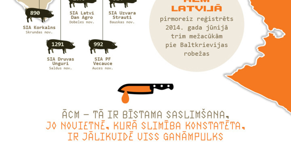 Āfrikas cūku mēra ietekme uz Latvijas cūkkopības nozari. INFOGRAFIKA