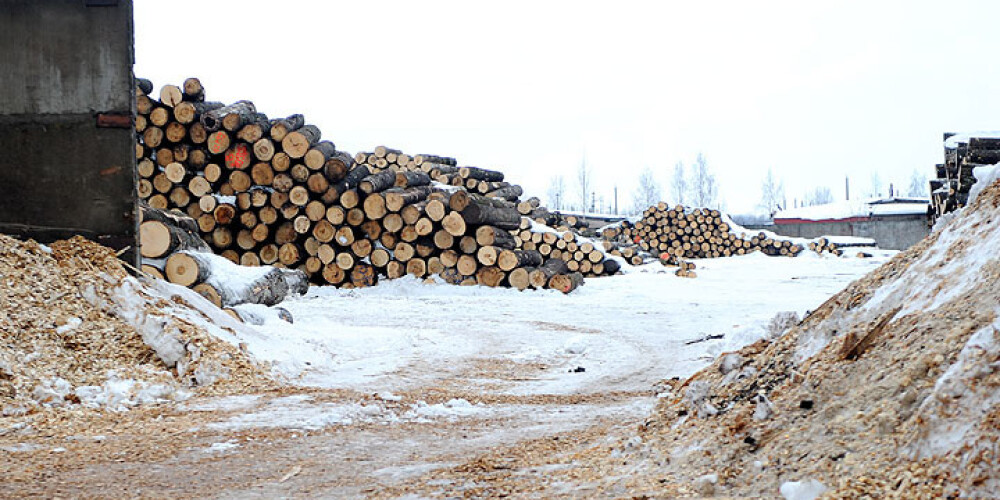 Pērn Latvijā sasniegts rekordliels mežu nozares eksports - 2 miljardu eiro vērtībā
