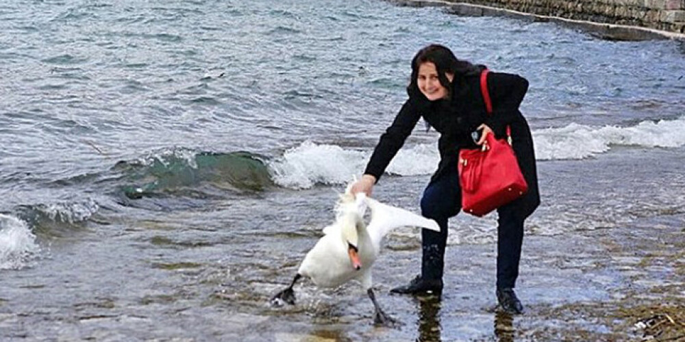 ШОК! Туристка убила лебедя ради фотографии