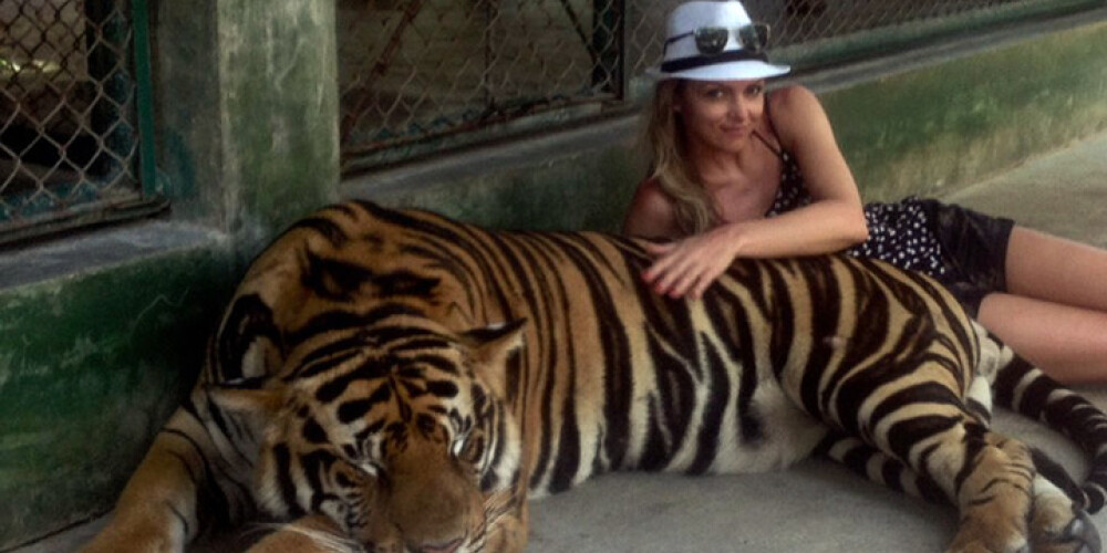 Fomina sieva Taizemē tiek pie tīģera. FOTO
