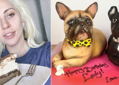 Леди Гага отметила 30-летие тортом в виде ее любимых собачек