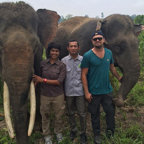 Леонардо ДиКаприо и Эдриан Броуди посетили национальный парк Mount Leuser в Индонезии