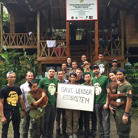 Актер обеспокоен сохранностью поголовья диких слонов в парке Mount Leuser