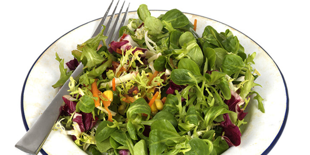 Вегетарианская диета «повышает риск сердечно-сосудистых заболеваний и рака»