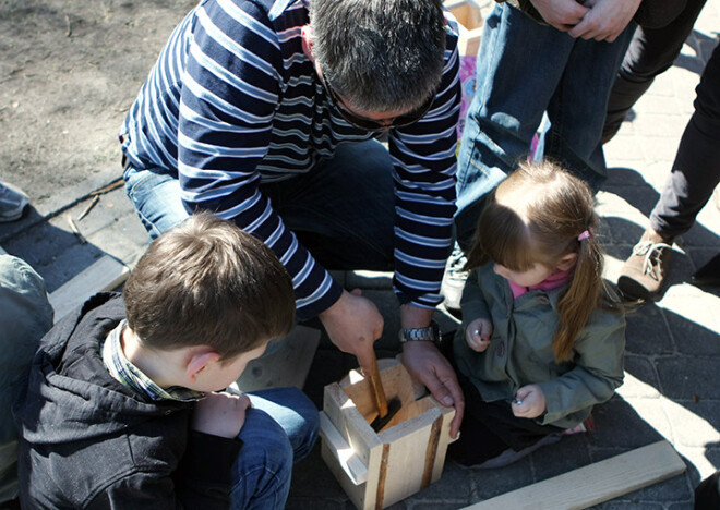 Klāt Putnu dienas un laiks gan doties vērot spārnaiņus, gan arī viņiem gatavot būrīšus. To varat darīt gan kolektīvi, gan arī vienatnē kompānijā ar putniem.