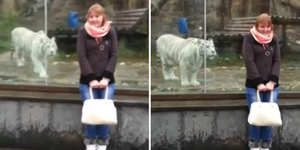 Meitene piedzīvo baisu pārbīli zoodārzā. VIDEO