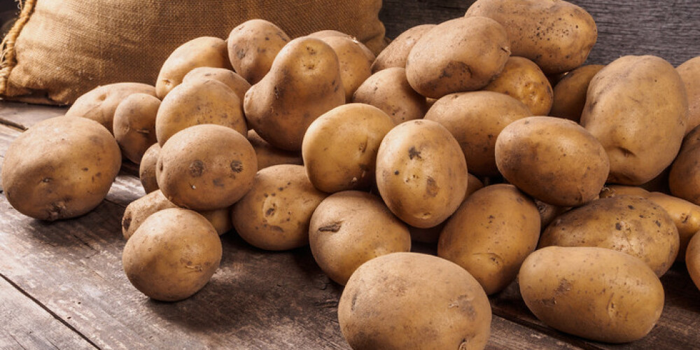 Kuras kartupeļu šķirnes vislabāk der mazdārziņam?