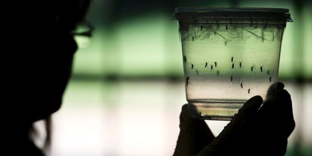 Kāda sieviete bīstamo Zikas vīrusu ieguvusi seksa laikā, nevis no odiem