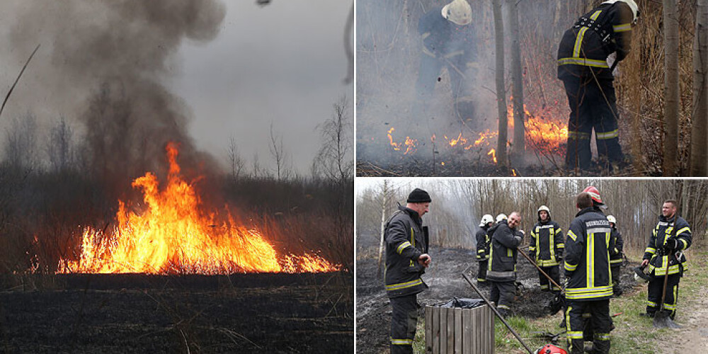 Daugavgrīvā degošajās niedrēs liesmas cēlušās pat trīsstāvu mājas augstumā. FOTO