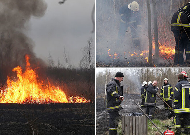 Daugavgrīvā degošajās niedrēs liesmas cēlušās pat trīsstāvu mājas augstumā. FOTO