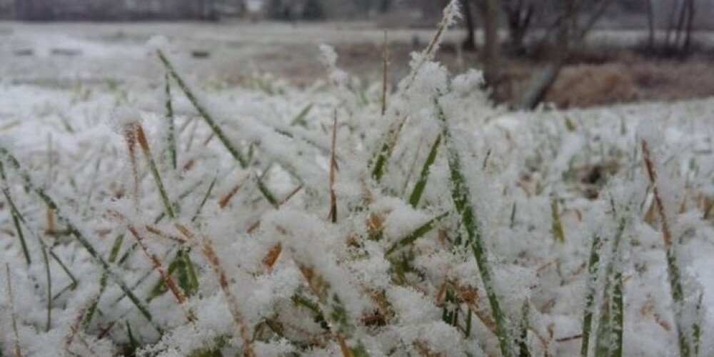 Daudzviet Latvijā zemi pārklāj arvien biezāks sniegs