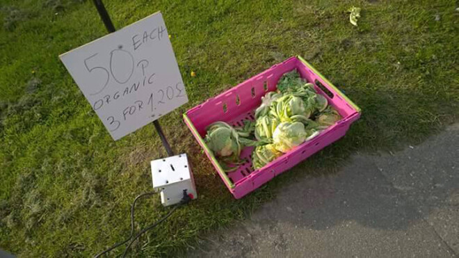 Lietuvieši situāciju savos veikalos salīdzina ar Angliju, kur viens puķkāposts maksā 50 pensus (0,63 eiro). Latvijā viena šī dārzeņa cena svārstās ap 2,35 eiro.