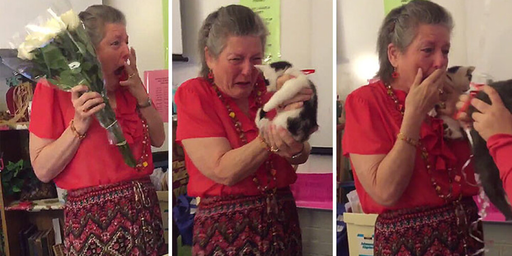 Pēc sava kaķīša nāves skolotāja saņem brīnišķīgu pārsteiguma dāvanu. VIDEO