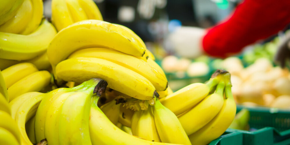 Vācijā evakuē lielveikalu, kur banānu kastē atrasts ļoti indīgs zirneklis