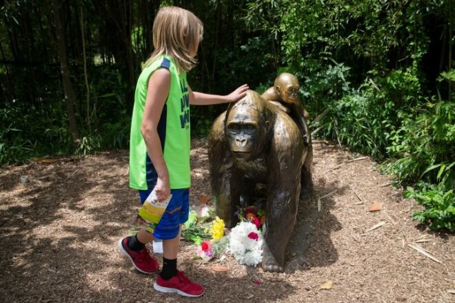 Pie statujas zoodārza ārpusē gulst ziedi Harambes piemiņai.