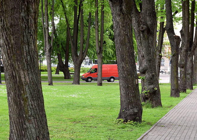 Apstiprina grozījumus Rīgas apstādījumu uzturēšanas un aizsardzības noteikumos