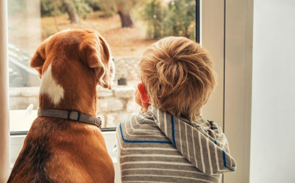 Bērns viens pats mājās – kā parūpēties par drošību Bērns viens pats mājās – kā parūpēties par drošību