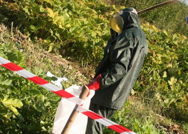 No trim cilvēkiem Siguldā piedzīs naudu par latvāņu neapkarošanu