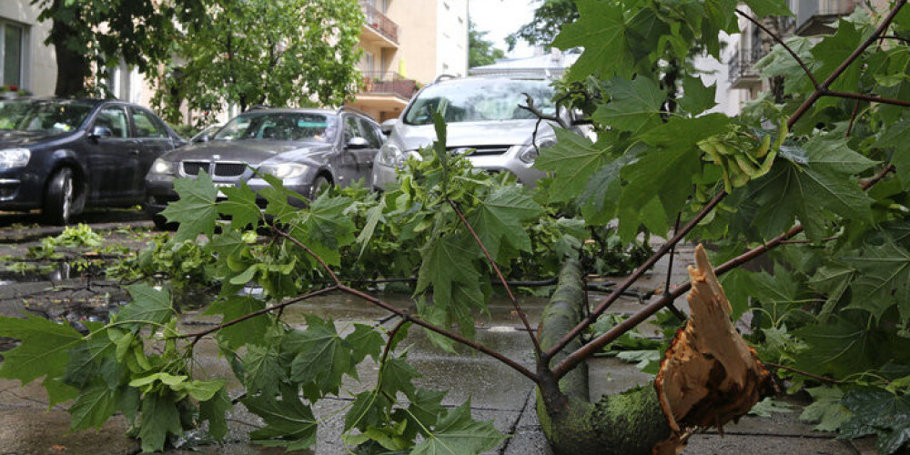 Lietuvā plosās vētra; Viļņā krītošs koks savainojis sievieti