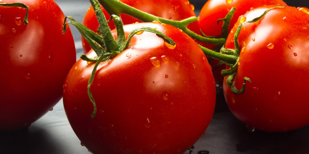 Podagras slimniekiem taisnība – tomāti pasliktina viņu veselību