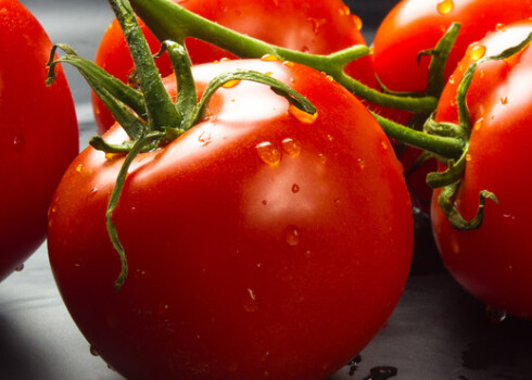 Tomāti paaugstina urīnvielas līmeni tikpat lielā mērā kā līdz šim atklātie podagras ierosinātāji: sarkanā gaļa, jūras veltes, alkohols un saldinātie dzērieni.