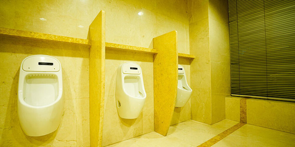 Nacionālās operas tualešu remonti izmaksās teju 10 tūkstošus eiro