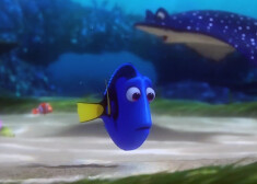 Kadrs no animācijas filmas "Finding Dory".