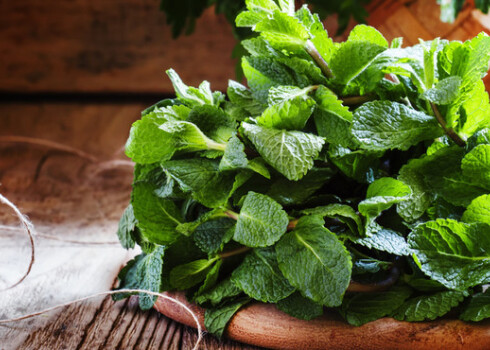 Piparmētrās ir daudz A, C un nedaudz B2 vitamīna, kā arī kalcijs, cinks un magnijs.