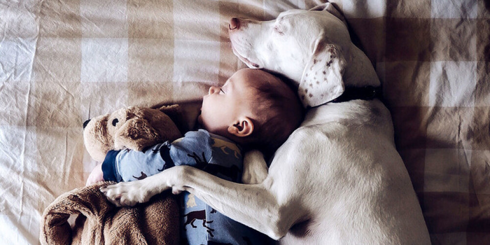 Bildes, kas izkausēs tavu sirdi: mazais Ārčijs un viņa lielais suns vārdā Nora. FOTO